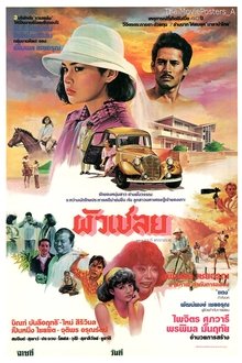 ผัวเชลย movie poster
