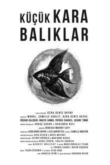 Little Black Fishes movie poster