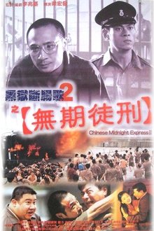 Chinese Midnight Express II movie poster
