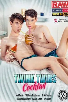 Twink Twins Cocktail movie poster