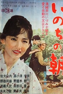 Dawn of a Canvas movie poster