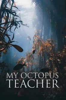 My Octopus Teacher movie poster