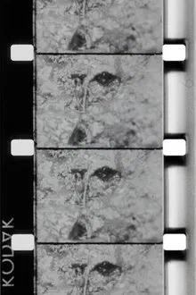 La source de la Loire movie poster