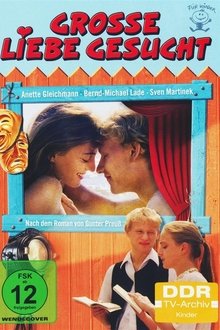 Große Liebe gesucht movie poster