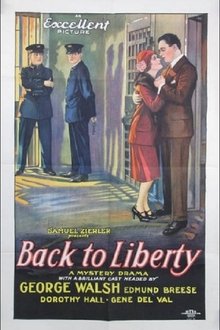 Back to Liberty movie poster