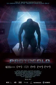 Poster do filme Protocol