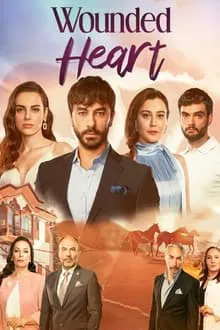 Wounded Heart tv show poster