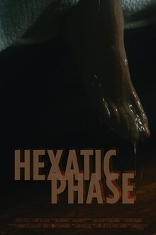 Hexatic Phase movie poster