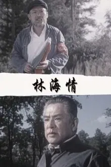 林海情 movie poster