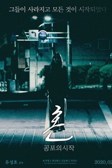 Spirit: The Beginning of Fear movie poster