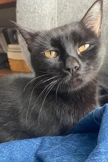 La negrita profile picture