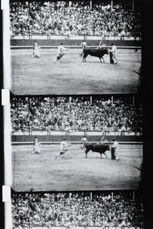 Corrida movie poster