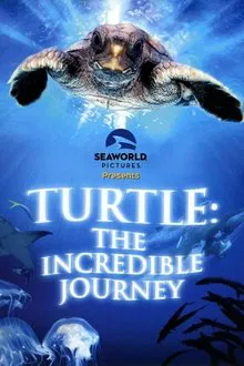 Turtle: The Incredible Journey movie poster
