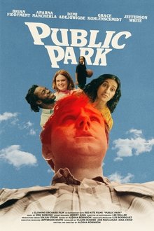 Poster do filme Public Park