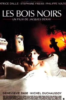 Dark Woods movie poster