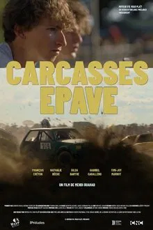 Wrecks movie poster