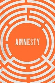 Amnesty movie poster