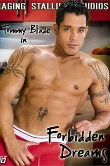 Forbidden Dreams movie poster