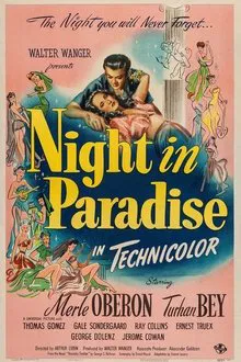 Night in Paradise movie poster