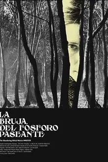 The Wandering Witch movie poster