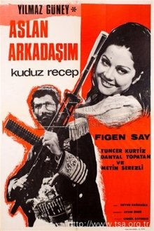 Kuduz Recep movie poster