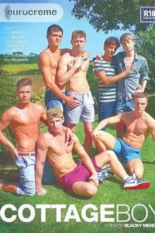 CottageBoy movie poster