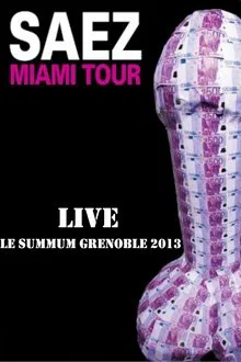 Damien Saez en live au Summum 2013 movie poster