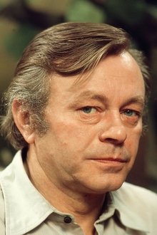 Heinz Fülfe profile picture