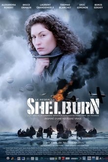 Poster do filme Le réseau Shelburn