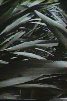 Sensation '77: Mimicry movie poster