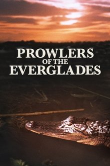Prowlers of the Everglades movie poster
