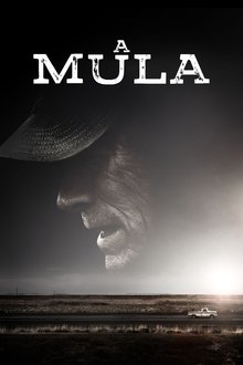 Poster do filme A Mula