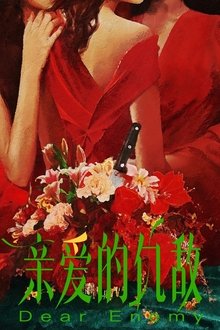 Dear Enemy tv show poster