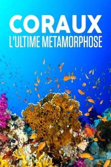 Poster do filme Coraux, l'ultime métamorphose