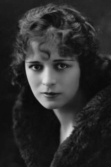 Anita Stewart profile picture