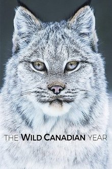 The Wild Canadian Year tv show poster