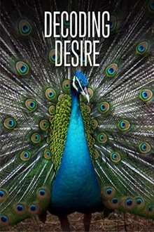 Decoding Desire movie poster