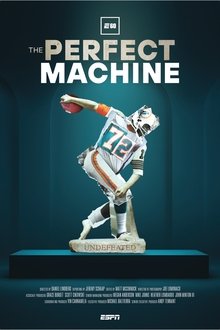 The Perfect Machine movie poster