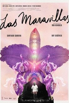 Back to Las Maravillas movie poster