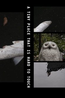 A Tiny Place That Is Hard to Touch movie poster