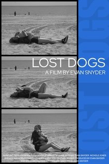 Poster do filme Lost Dogs