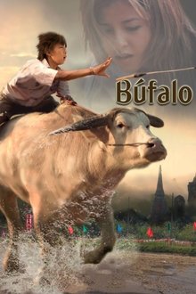 Poster do filme Búfalo