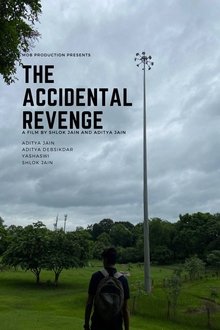 The Accidental Revenge movie poster