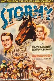 Stormy movie poster