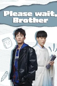 Please Wait, Brother tv show poster