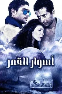 The Walls of The Moon movie poster