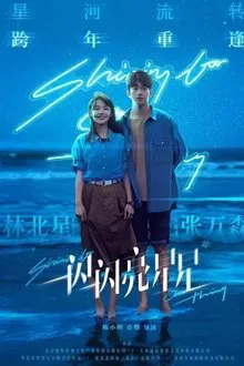 Shining for One Thing: The Movie movie poster