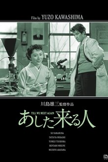 Till We Meet Again movie poster
