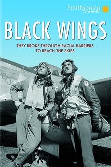Black Wings movie poster