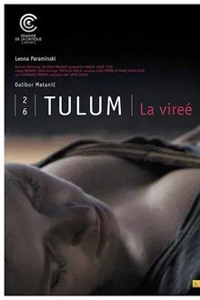 Party movie poster